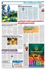 21-01-25 Taniniram Daily_page-0008